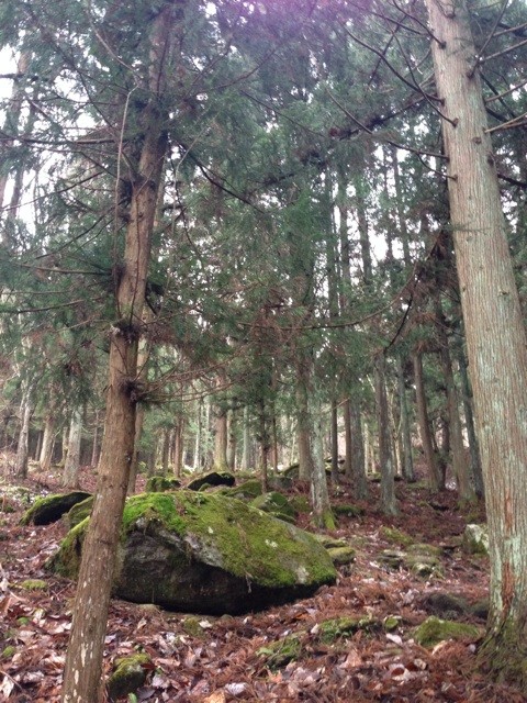 f:id:MATSU:20131225132615j:plain f:id:MATSU:20131225132615j:plain