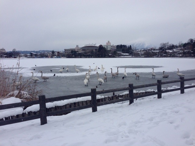f:id:MATSU:20140109154430j:plain f:id:MATSU:20140109154430j:plain