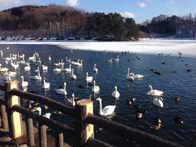 f:id:MATSU:20140123171952j:plain f:id:MATSU:20140123171952j:plain