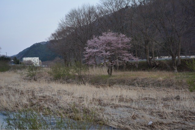 f:id:MATSU:20140422221224j:plain f:id:MATSU:20140422221224j:plain