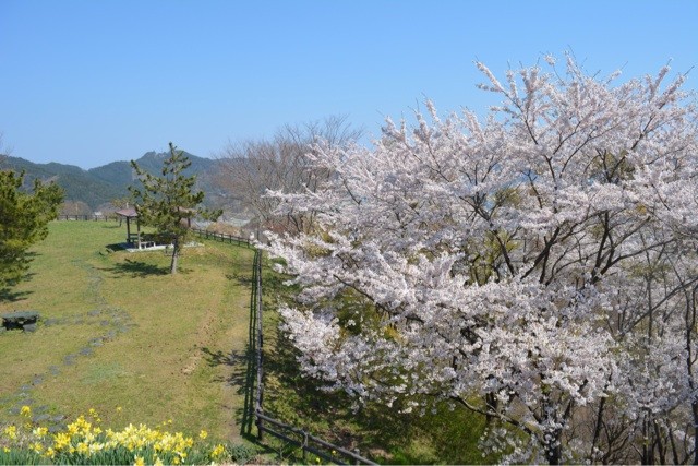 f:id:MATSU:20140428111530j:plain f:id:MATSU:20140428111530j:plain