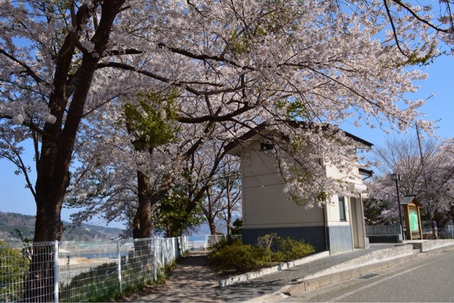 f:id:MATSU:20140428111813j:plain f:id:MATSU:20140428111813j:plain