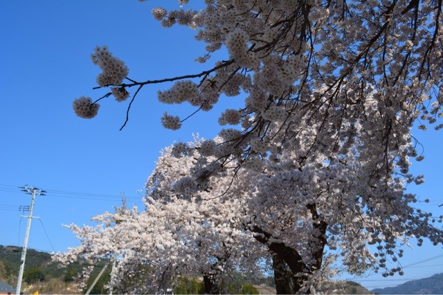 f:id:MATSU:20140428112008j:plain f:id:MATSU:20140428112008j:plain