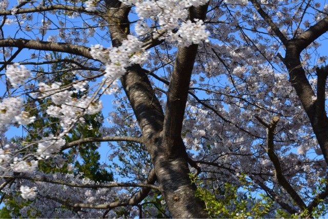 f:id:MATSU:20140428112234j:plain f:id:MATSU:20140428112234j:plain