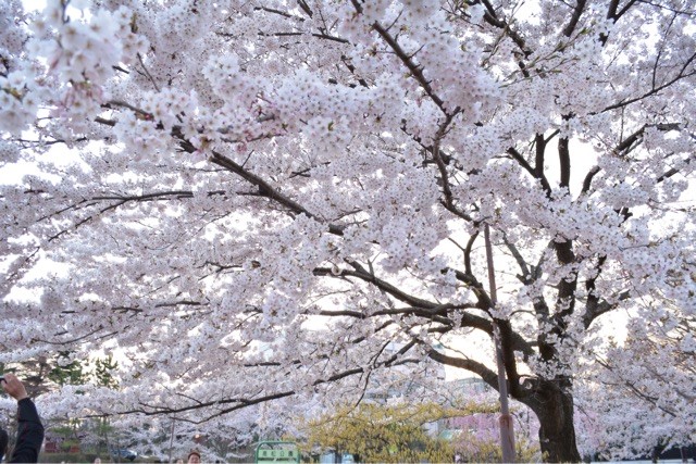 f:id:MATSU:20150423191447j:plain f:id:MATSU:20150423191447j:plain