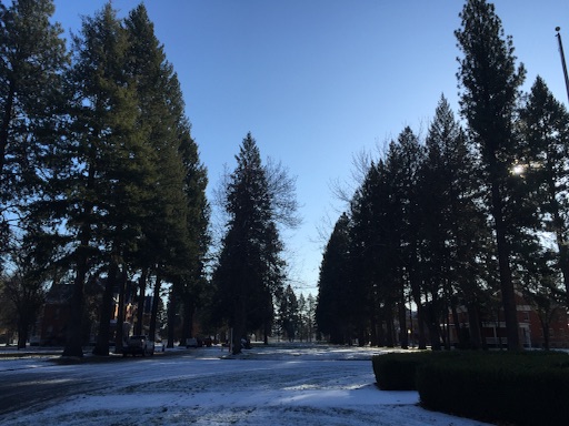 f:id:MFWI2015honda:20151126122124j:image f:id:MFWI2015honda:20151126122124j:image