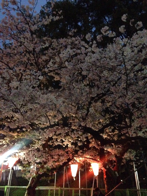 f:id:MKT2728:20150404125143j:plain f:id:MKT2728:20150404125143j:plain