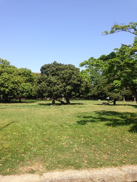 f:id:MKT2728:20150507090549j:image f:id:MKT2728:20150507090549j:image
