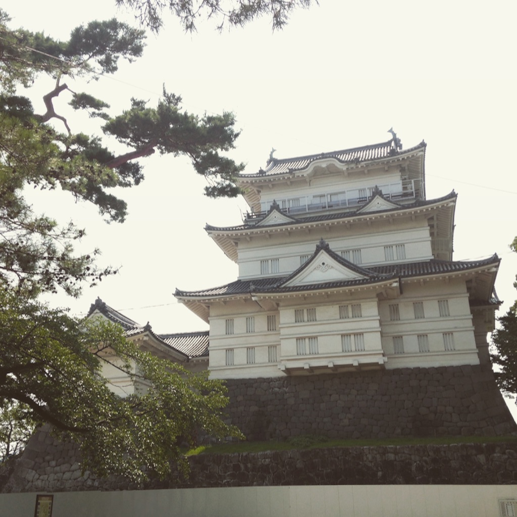 f:id:MKT2728:20150803182809j:image f:id:MKT2728:20150803182809j:image