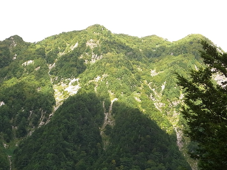 f:id:MUMPS:20120917080636j:image f:id:MUMPS:20120917080636j:image