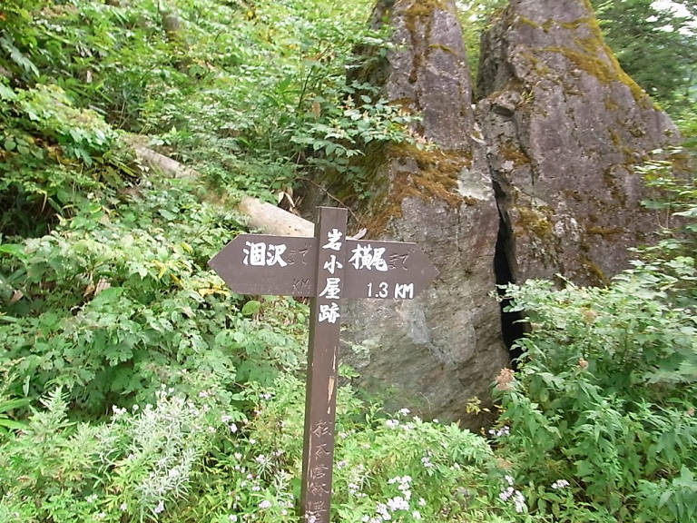 f:id:MUMPS:20120917083054j:image f:id:MUMPS:20120917083054j:image