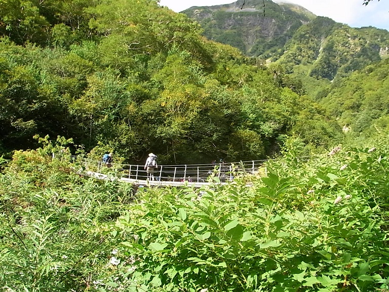 f:id:MUMPS:20120917090812j:image f:id:MUMPS:20120917090812j:image