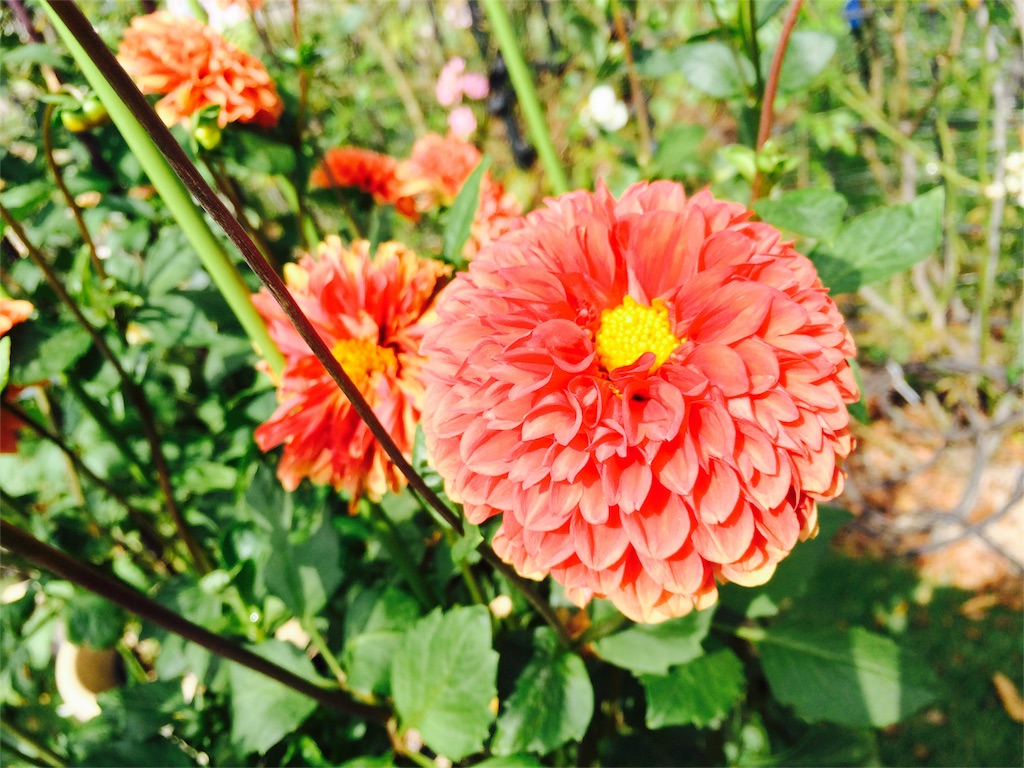 f:id:Mac-Love:20150927154102j:image f:id:Mac-Love:20150927154102j:image