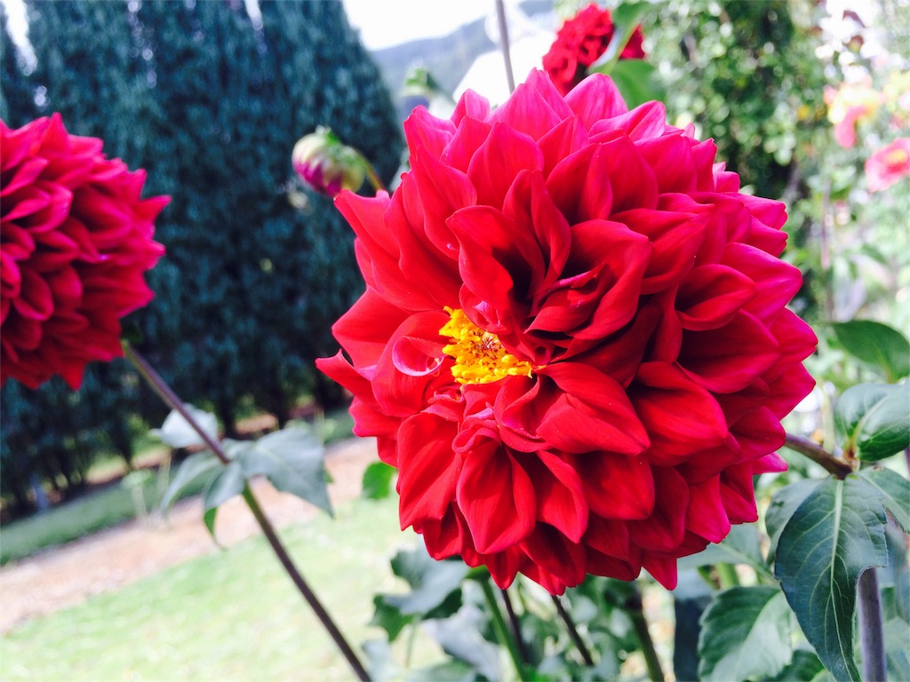 f:id:Mac-Love:20150927154200j:image f:id:Mac-Love:20150927154200j:image