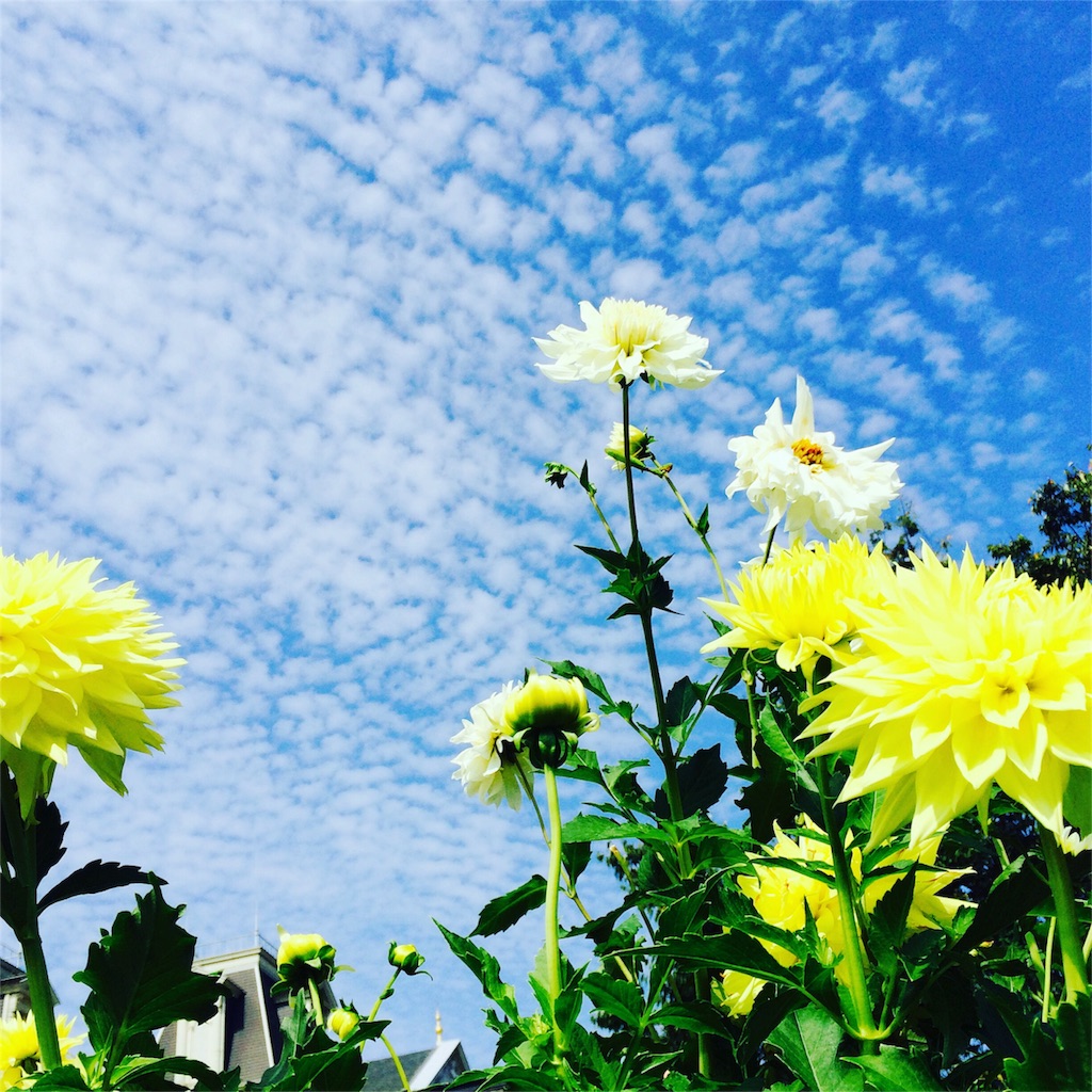 f:id:Mac-Love:20150927154231j:image f:id:Mac-Love:20150927154231j:image