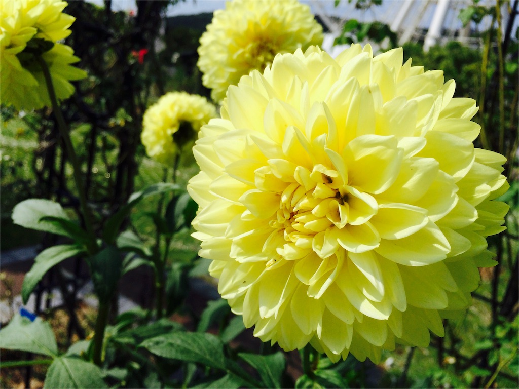 f:id:Mac-Love:20150927154246j:image f:id:Mac-Love:20150927154246j:image
