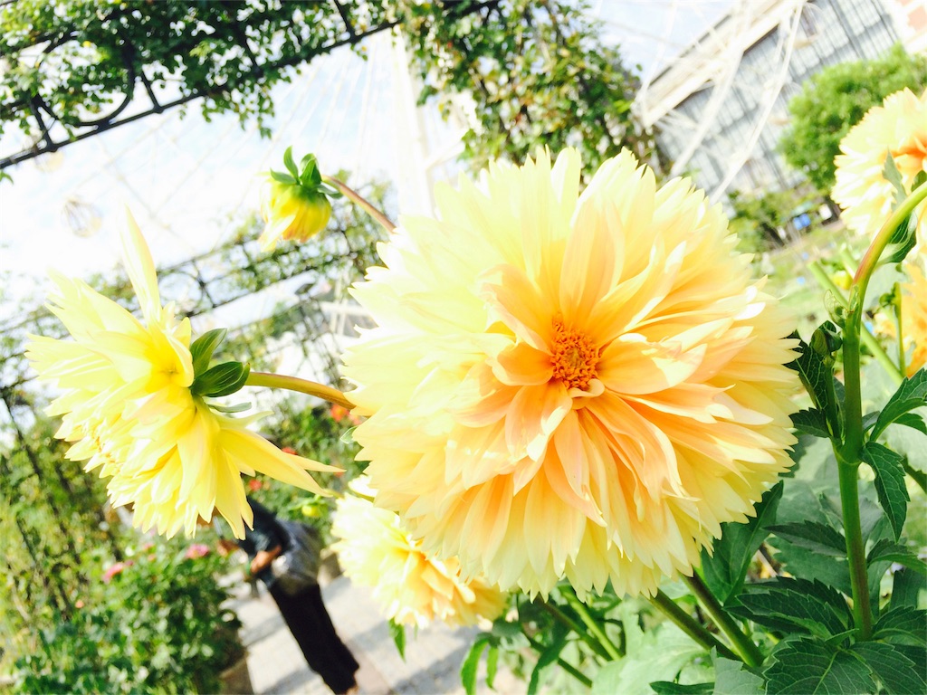 f:id:Mac-Love:20150927154351j:image f:id:Mac-Love:20150927154351j:image