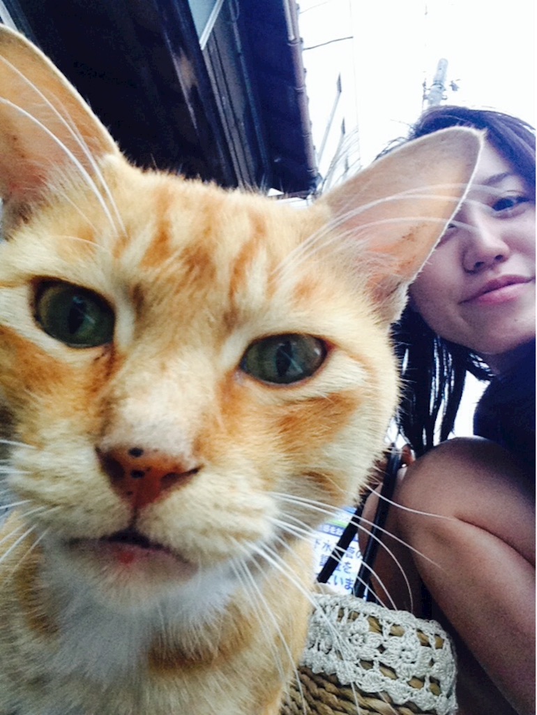 f:id:Mamitaaasu:20150826003310j:image f:id:Mamitaaasu:20150826003310j:image