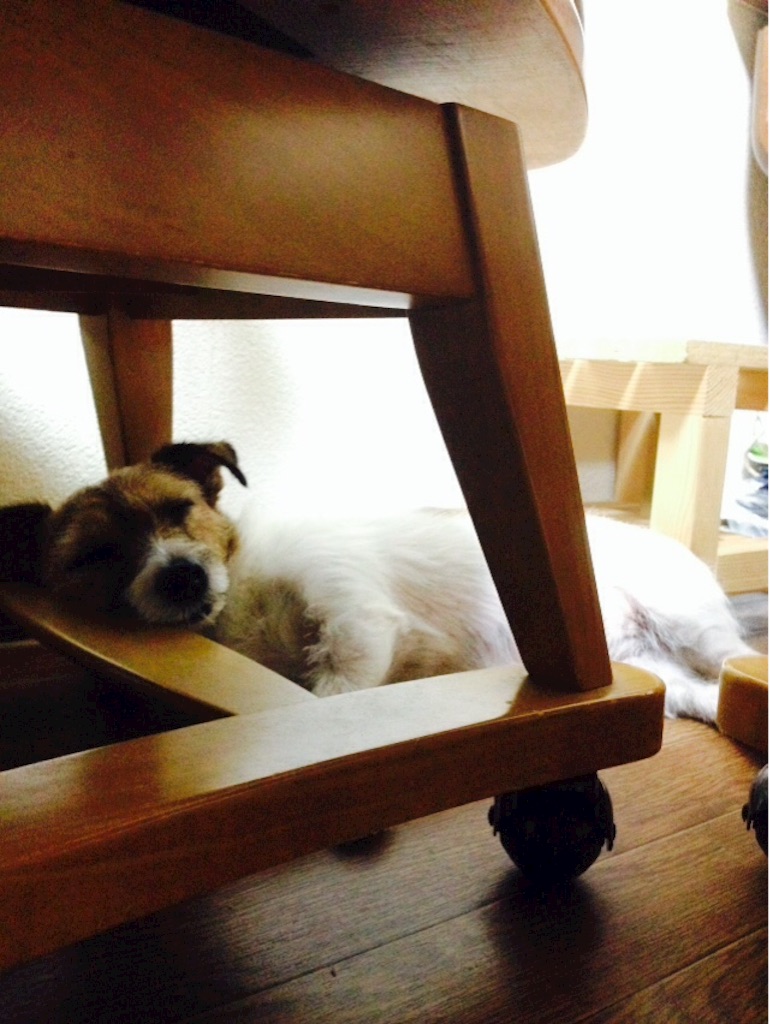 f:id:Mamitaaasu:20150830013424j:image f:id:Mamitaaasu:20150830013424j:image