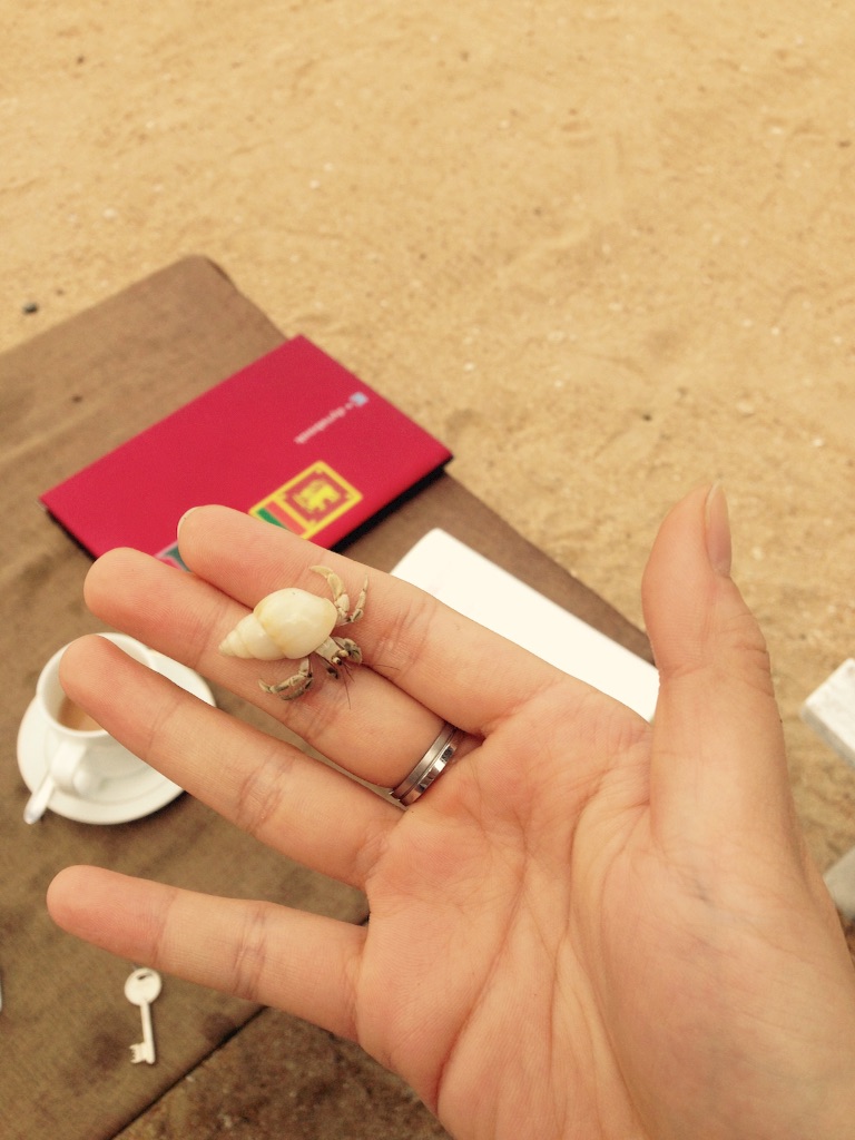 f:id:Mamitaaasu:20151228234556j:image f:id:Mamitaaasu:20151228234556j:image