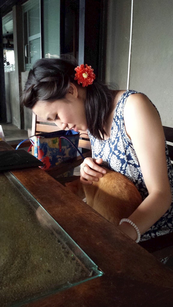 f:id:Mamitaaasu:20160106075019j:image f:id:Mamitaaasu:20160106075019j:image