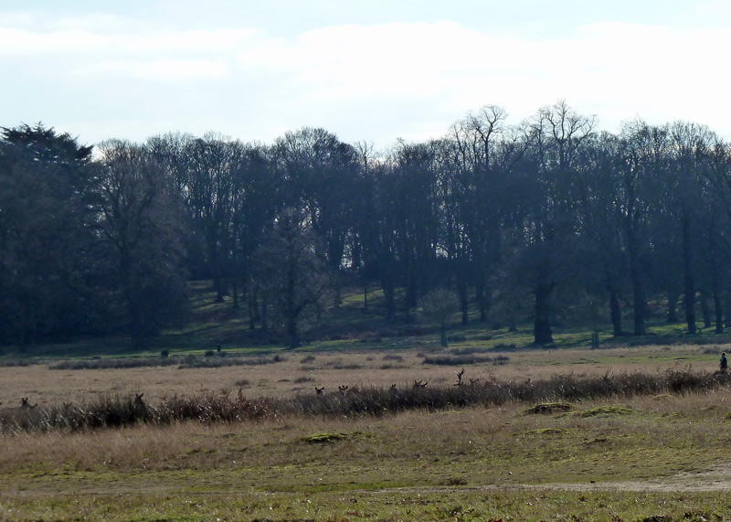 f:id:ManSteflat:20120205012603j:image:w550 f:id:ManSteflat:20120205012603j:image:w550