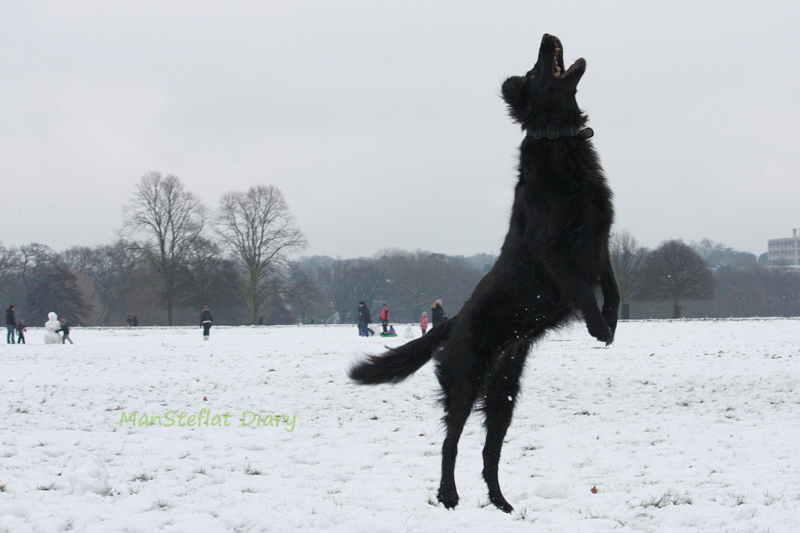 f:id:ManSteflat:20120206065359j:image:w640