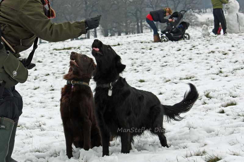 f:id:ManSteflat:20120206065401j:image:w640