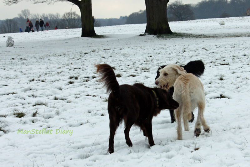 f:id:ManSteflat:20120206065402j:image:w640