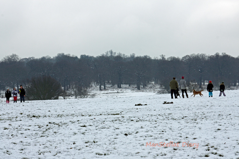 f:id:ManSteflat:20120206065403j:image:w640