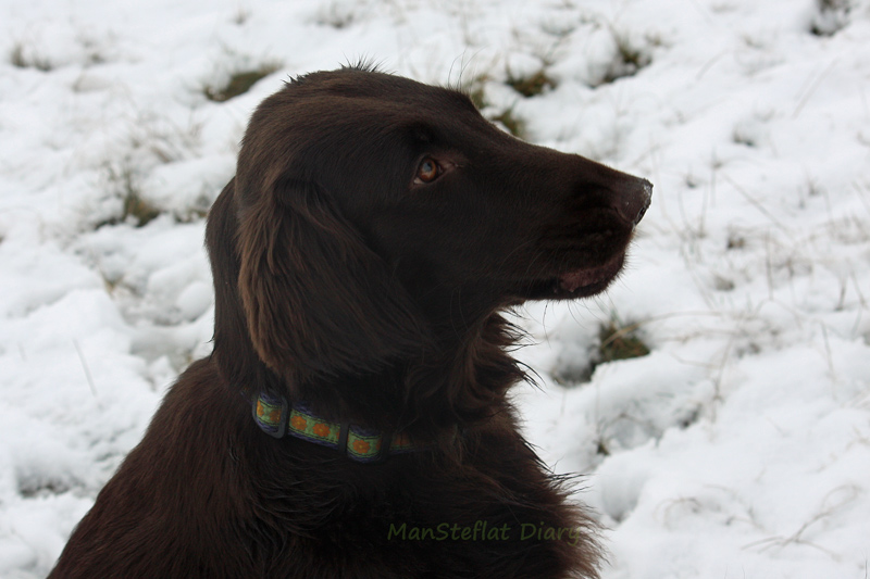 f:id:ManSteflat:20120206065554j:image:w640