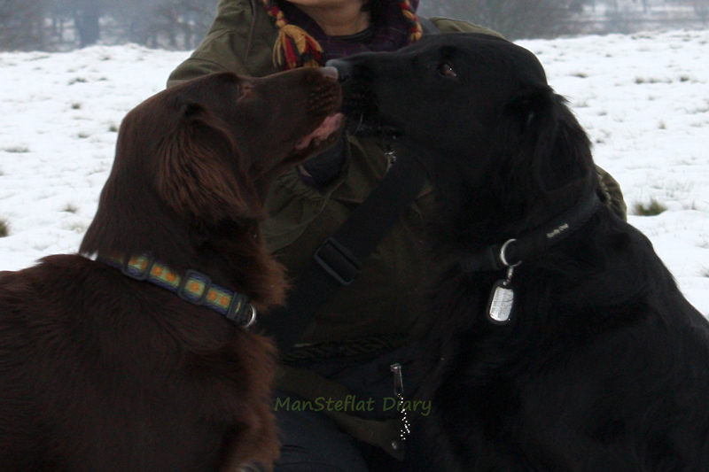 f:id:ManSteflat:20120206065555j:image:w640