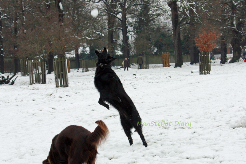 f:id:ManSteflat:20120206065556j:image:w640