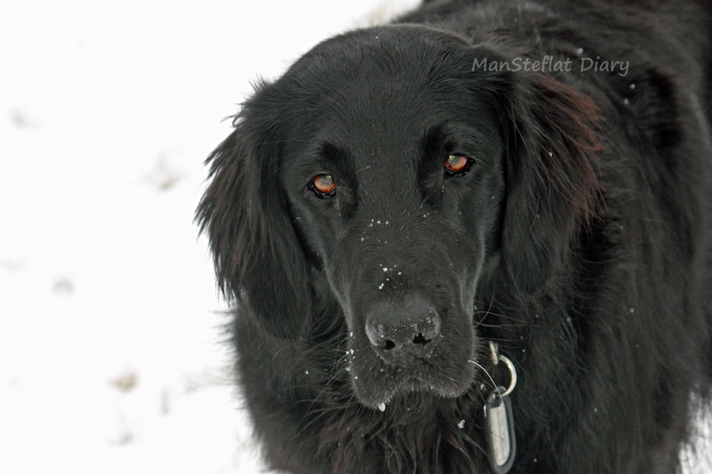 f:id:ManSteflat:20120206070622j:image:w640