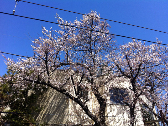 f:id:MaoLamdo:20130510022608j:plain f:id:MaoLamdo:20130510022608j:plain