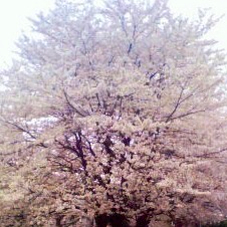 f:id:MaoLamdo:20130510023523j:plain f:id:MaoLamdo:20130510023523j:plain