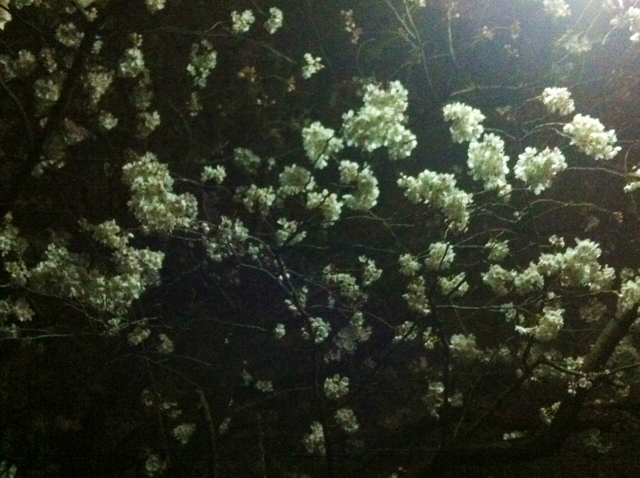 f:id:MaoLamdo:20130510023641j:plain f:id:MaoLamdo:20130510023641j:plain