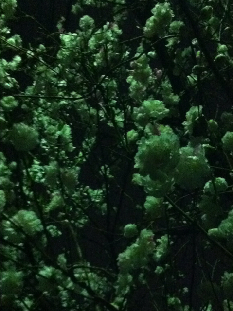 f:id:MaoLamdo:20130510024214j:plain f:id:MaoLamdo:20130510024214j:plain