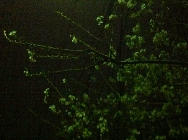 f:id:MaoLamdo:20130510024434j:plain f:id:MaoLamdo:20130510024434j:plain
