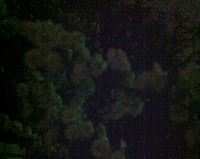 f:id:MaoLamdo:20130510024640j:plain f:id:MaoLamdo:20130510024640j:plain