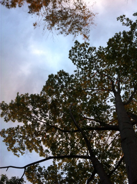 f:id:MaoLamdo:20130510030926j:plain f:id:MaoLamdo:20130510030926j:plain