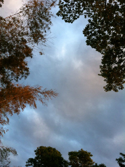 f:id:MaoLamdo:20130510031157j:plain f:id:MaoLamdo:20130510031157j:plain