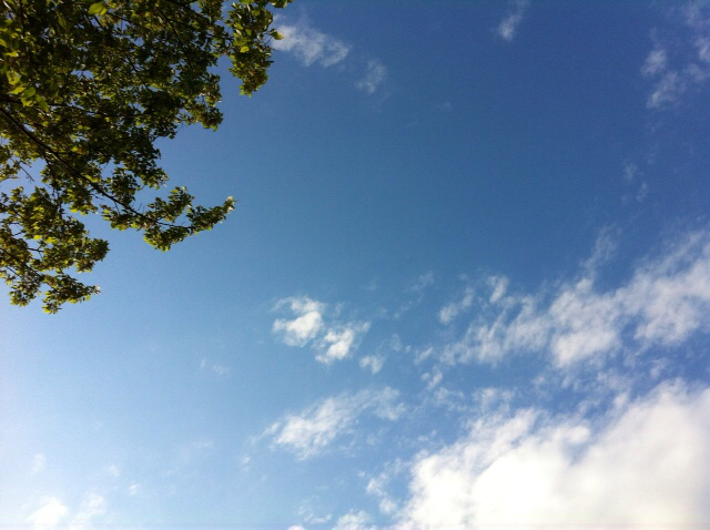 f:id:MaoLamdo:20130510031529j:plain f:id:MaoLamdo:20130510031529j:plain
