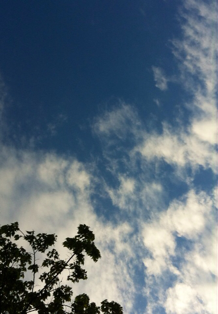 f:id:MaoLamdo:20130510031918j:plain f:id:MaoLamdo:20130510031918j:plain