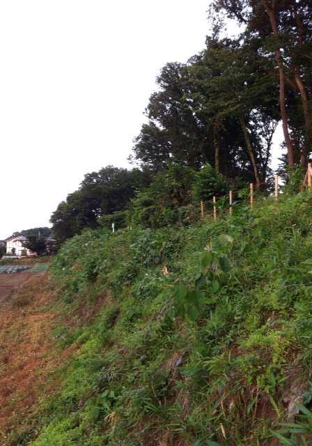 f:id:MaoLamdo:20130612063503j:plain f:id:MaoLamdo:20130612063503j:plain