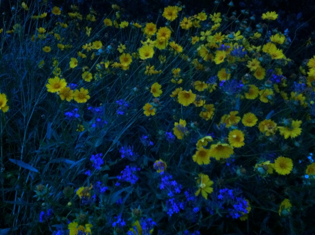 f:id:MaoLamdo:20130612141049j:plain f:id:MaoLamdo:20130612141049j:plain