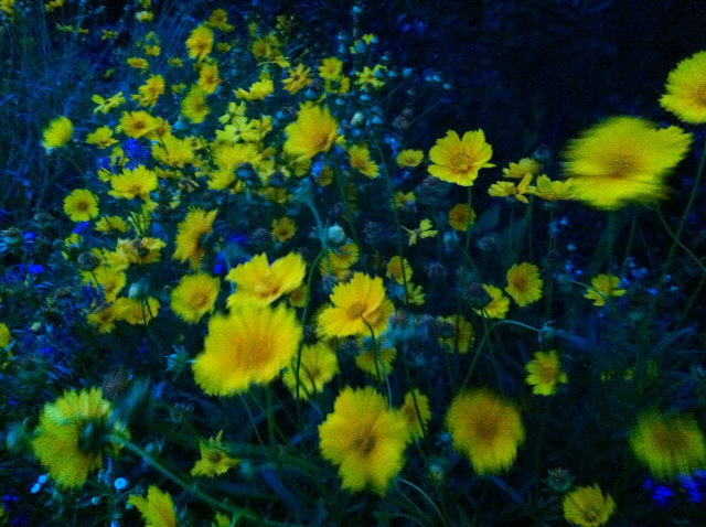 f:id:MaoLamdo:20130612141134j:plain f:id:MaoLamdo:20130612141134j:plain