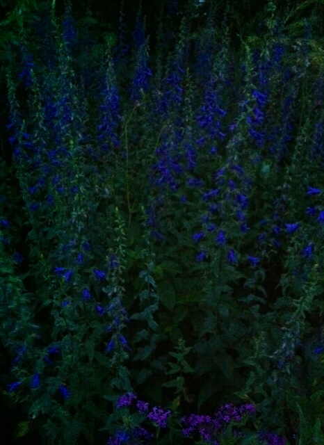 f:id:MaoLamdo:20130612163359j:plain f:id:MaoLamdo:20130612163359j:plain