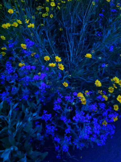 f:id:MaoLamdo:20130612163630j:plain f:id:MaoLamdo:20130612163630j:plain