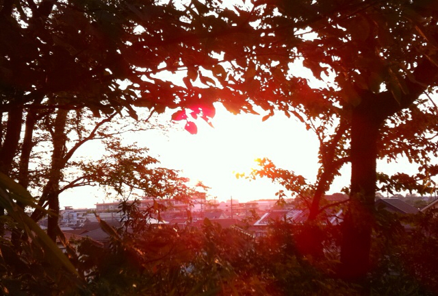 f:id:MaoLamdo:20130612171135j:plain f:id:MaoLamdo:20130612171135j:plain
